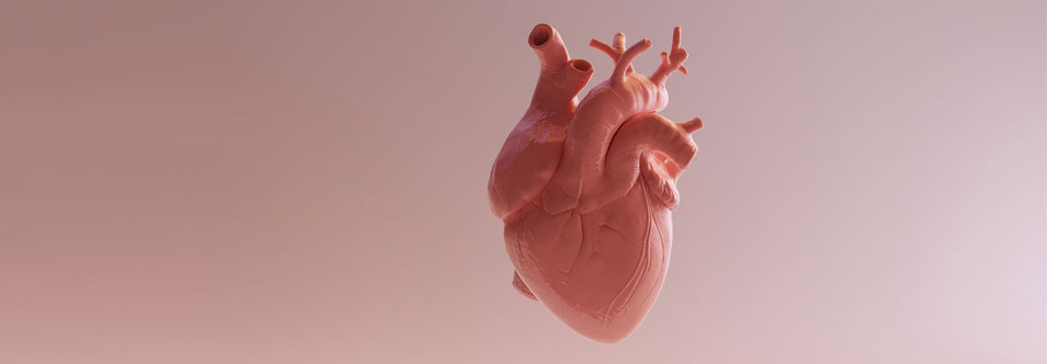 Reduzierte Optionen bei Herzinsuffizienz mit erhaltener Pumpfunktion Aus Mangel an Alternativen bleibt bei HFpEF vorerst alles beim Alten.