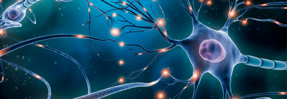 J&J: 60 Jahre Erfahrung und Forschung für die Zukunft der Neurowissenschaften