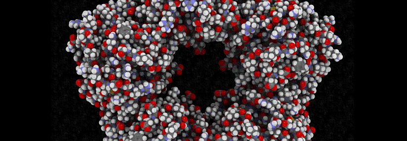 Erst Bakterien checken, dann Antibiotika geben Ein wichtiger Indikator einer bakteriellen Infektion ist das C-reaktive Protein (CRP).