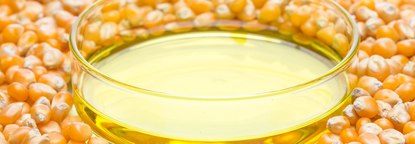 Ein Auslöser könnte die verstärkte Nutzung von stark fruktosehaltigem Maissirup in der Lebensmittelindustrie sein. 