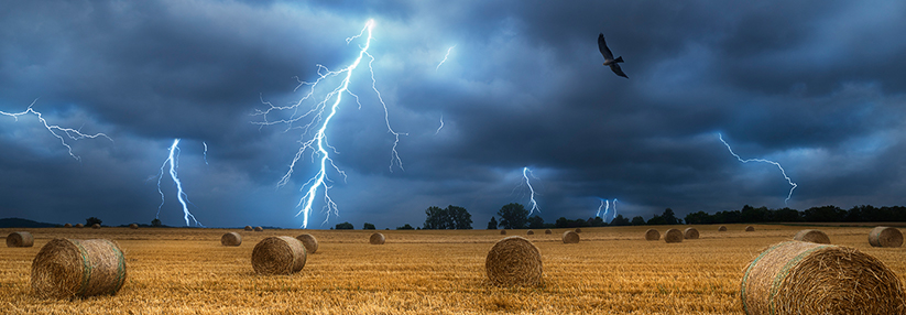 Am Tag vor einem Gewitter verzeichneten die Kliniken den größten Zuwachs an Patienten, die wegen akuter Atemwegsprobleme in die Notfallaufnahmen mussten.