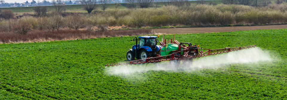 Etwa 40 % der in Europa zugelassenen Pestizide beeinflussen bekanntermaßen die Schilddrüsenhormonachse. 