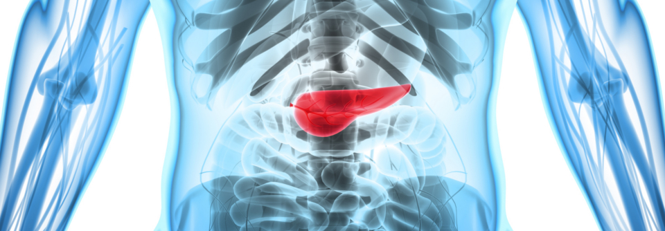 Ein Schlüssel dafür, Immunresistenzen zu überwinden, liege im genauen Immun-Profiling von Tumor und Blut vor und während der Behandlung. 