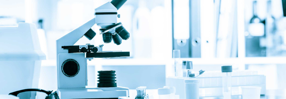 Primärer Hyperparathyreoidismus: Vom ersten Verdacht zur Diagnose Bei Verdacht auf einen pHPT ist eine Blutuntersuchung sowie eine Untersuchung des 24-Stunden-Sammelurins erforderlich.