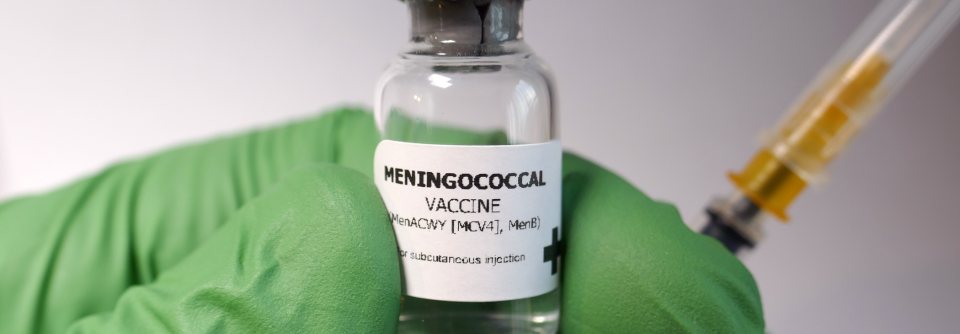 Mit Einführung der Impfungen weisen die Meningitispatienten mehr Vorerkrankungen auf, es werden auch andere Erreger beobachtet. Dies unterstreicht die Bedeutung der korrekten Diagnose für die Therapie bakterieller Meningitiden.