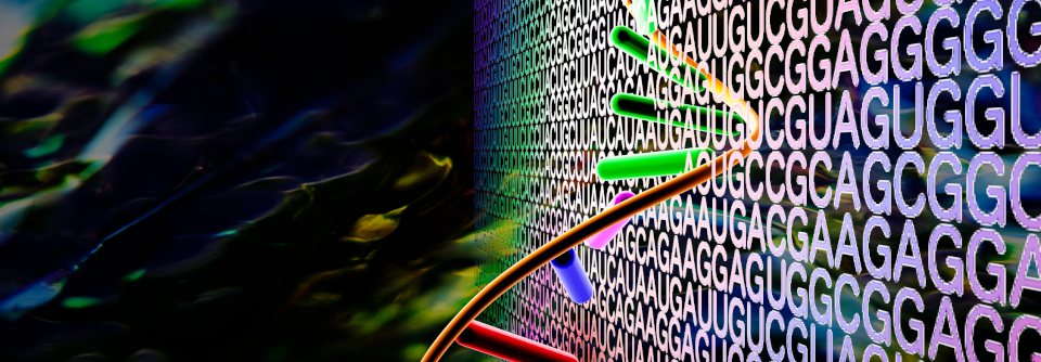 Auf der Grundlage von maschinellem Lernen lassen sich die unterschiedlichsten Variablen so in experimentelle Rechenmodelle integrieren, dass die vorgeschlagenen Diagnosen, Prognosen und Therapien immer genauer werden.