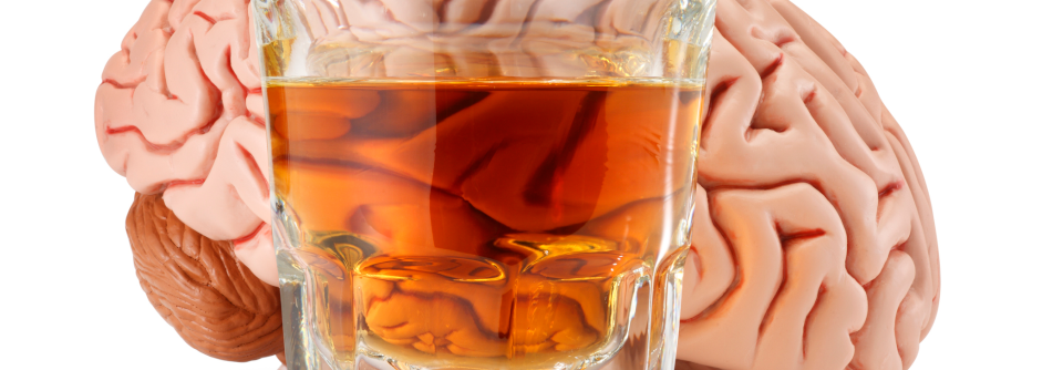Alkohol lässt Gehirn vorzeitig altern Für drei und vier Alkoholeinheiten pro Tag büßte die graue Masse weitere 2,9 bzw. 4,0 Jahre ein.