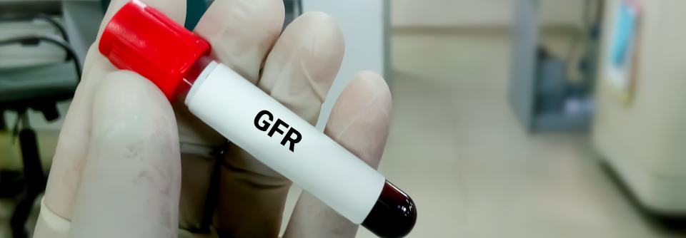Konkrete Richtlinien oder Empfehlungen für den Einsatz der (invasiv) gemessenen GFR gibt es noch nicht, sie sollen jedoch erarbeitet werden.