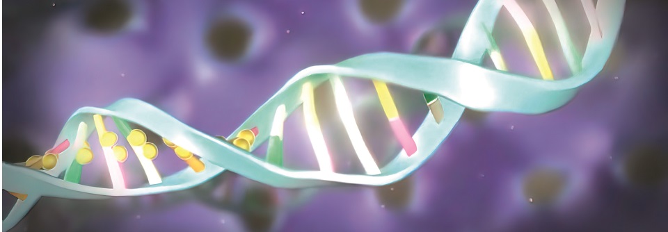 Die DNA kann zeigen, ob das Risiko besteht, nicht auf Metformin anzusprechen.
