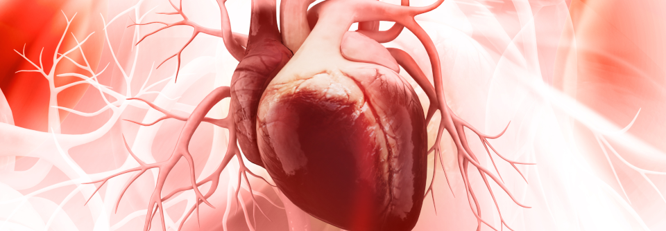 Die Gefahr für Herz und Gefäße stieg mit der Zahl der Autoimmunerkrankungen.