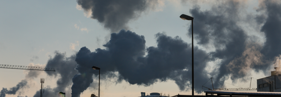 In bestimmten Teilen der Welt sind die jahreszeitlichen Schwankungen der Luftverschmutzung besonders deutlich ausgeprägt.
