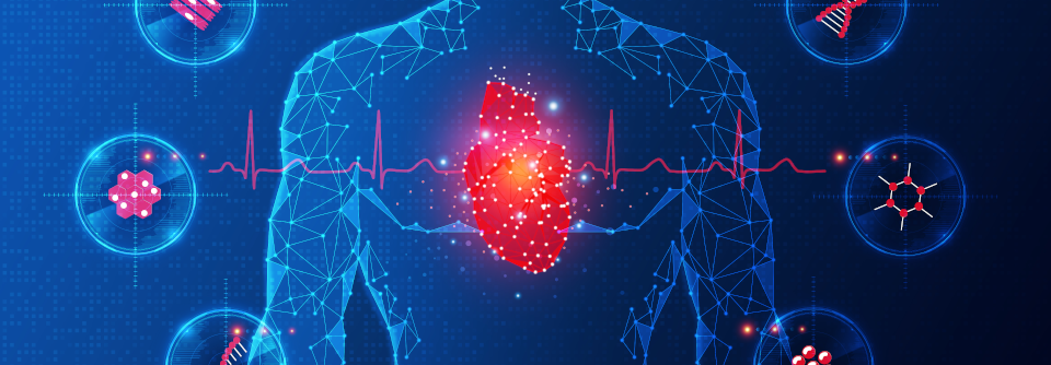 Weiterhin besteht eine wichtige Aufgabe der Forschung darin, die Bedeutung bislang wenig untersuchter Biomarker für die Kardiologie zu ergründen. 