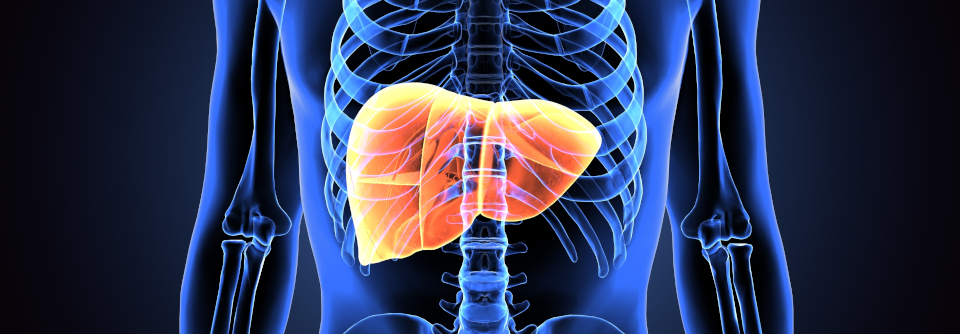 Eine zunehmende Dyspnoe ist das Leitsymptom des HPS. Spezifisch sind Platypnoe und Orthodeoxie – beides Parameter, die sich erst im Stehen zeigen.