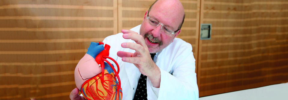 Univ.-Prof. Dr. med. Dr. h.c. Diethelm Tschöpe erklärt ein Herzmodell.