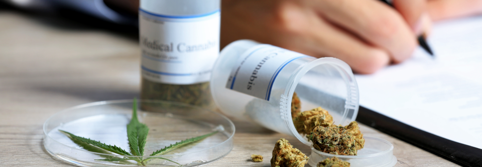 Vorsicht mit Cannabis bei bestimmten Schmerzpatienten Patienten mit chronischen Schmerzen bekommen immer häufiger Cannabis verordnet.