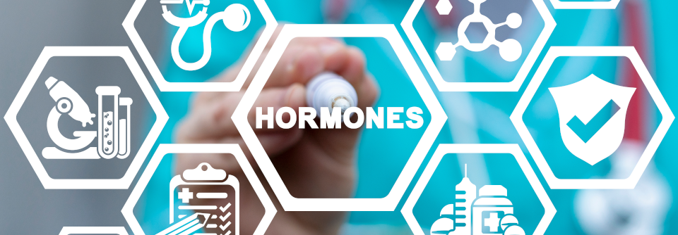 Endokrine Störungen nicht unterschätzen Damit Patienten mit einer Hormonstörung frühzeitig behandelt werden können, ist es wichtig, bei ihren Symptomen aufmerksam zu werden.